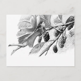 Carte Postale Fleur de mûrier rouge