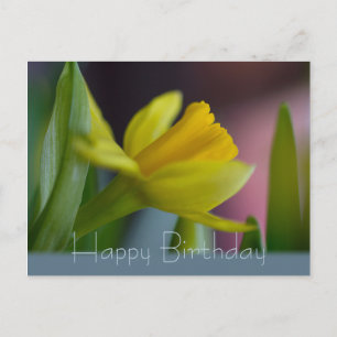 Carte Postale Fleur de narcisse jaune CC0742 Joyeux anniversaire