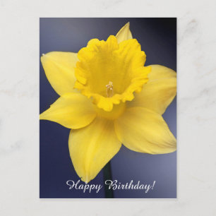 Carte Postale Fleur de Narcisse jaune peinture à l'aquarelle flo