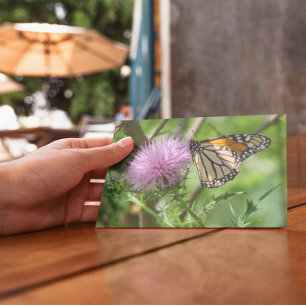 Carte Postale Fleur de papillon sur chardon pourpre
