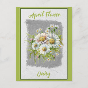 Carte Postale Fleur de pâquerette florale vintage d'avril