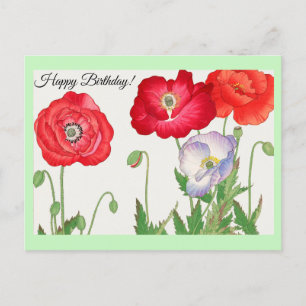 Carte Postale Fleur de pavot vintage