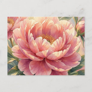 Carte Postale Fleur de pivoine rose vintage aquarelle botanique