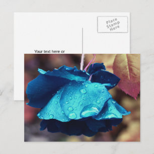 Carte Postale Fleur de rose bleue personnalisée
