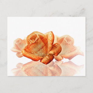 Carte Postale Fleur de Rose corail avec Partition