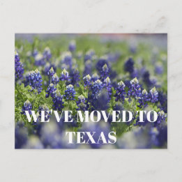 Carte Postale Fleur de Texas Bluebonnets Fleur sauvage Bleu Flor