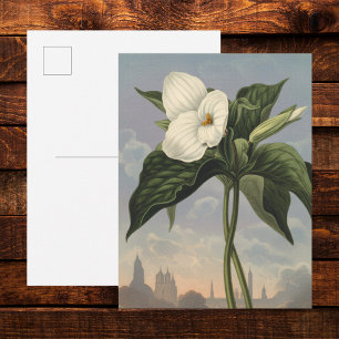 Carte Postale Fleur de Trillium Blanc dans le style du Temple de