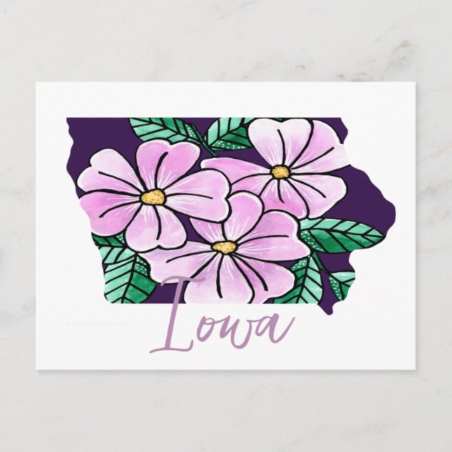Carte Postale Fleur d'État de l'Iowa (Devant)