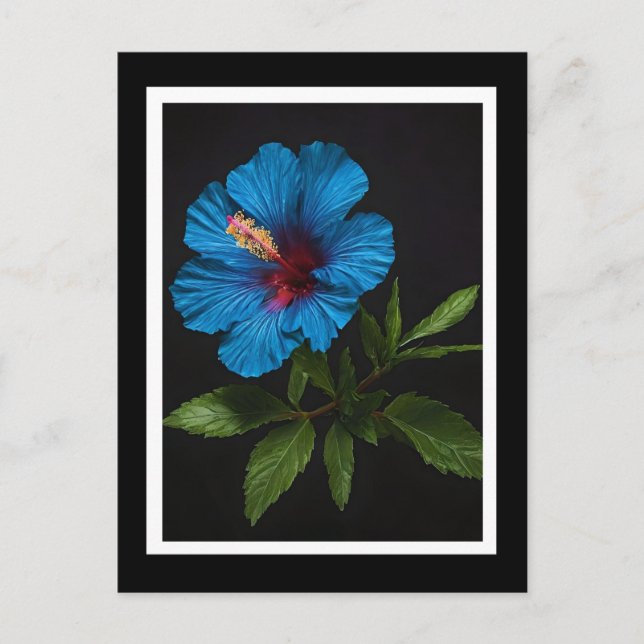 Carte Postale Fleur D'Hibiscus Bleu Sur Noir, (Devant)