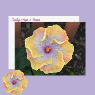 Carte Postale Fleur d'Hibiscus Jaune Photographique Botanique