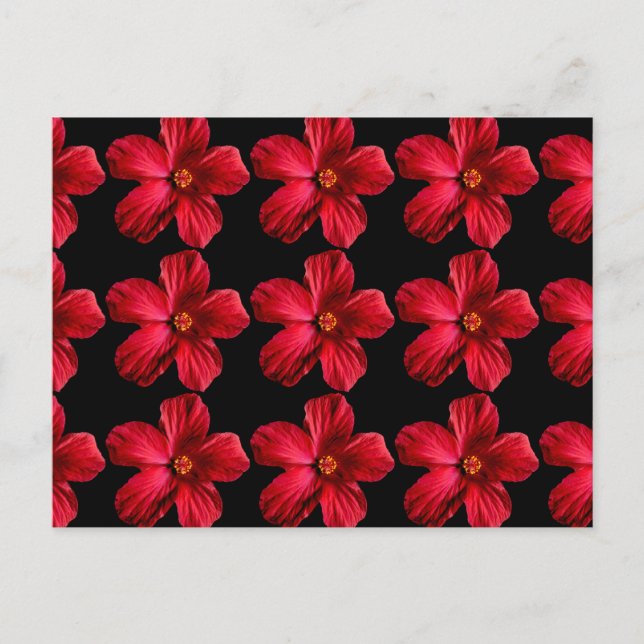 Carte Postale Fleur d'Hibiscus rouge (Devant)