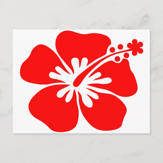 Carte Postale Fleur d'hibiscus rouge (Devant)