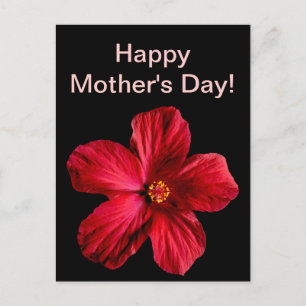 Carte Postale Fleur d'Hibiscus rouge