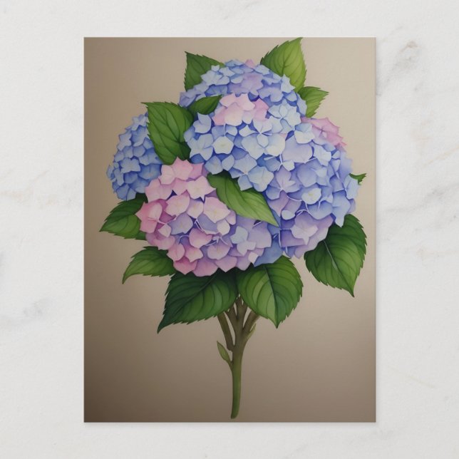 Carte Postale Fleur d'hydrangée violette (Devant)
