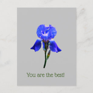 Carte Postale Fleur d'Iris