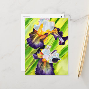 Carte Postale Fleur d'iris florale à l'aquarelle