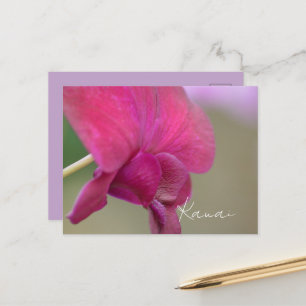 Carte Postale Fleur d'orchidée rose Kauai