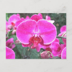 Carte Postale Fleur d'orchidée rose, photo florale