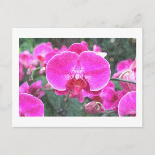 Carte Postale Fleur d'orchidée rose, photo florale