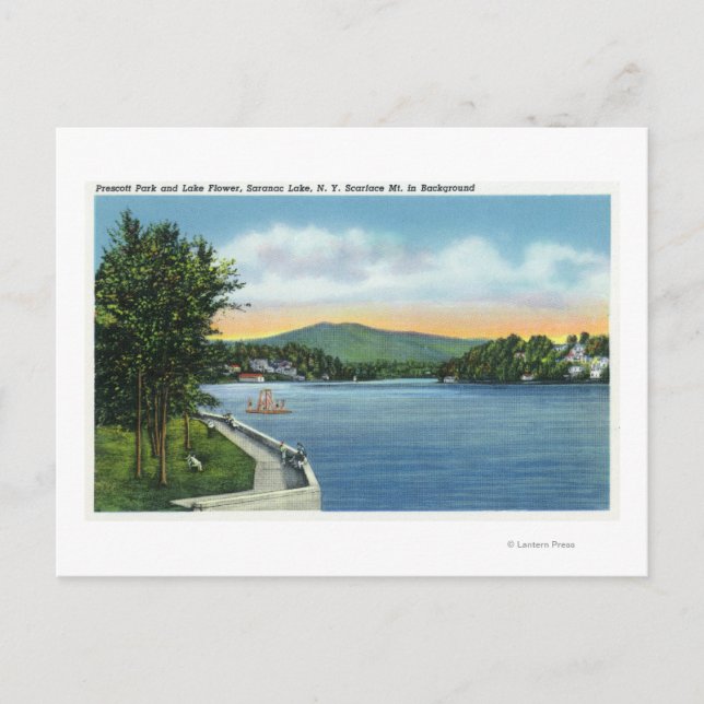 Carte Postale Fleur du lac, mont Scarface à distance (Devant)