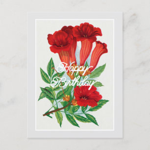 Carte Postale Fleur élégante vintage de Bignonia Joyeux Annivers