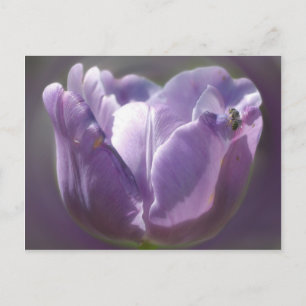 Carte Postale Fleur Et Abeille De Tulipe Violette