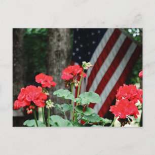 Carte Postale Fleur et drapeau Rouge blanc et bleu