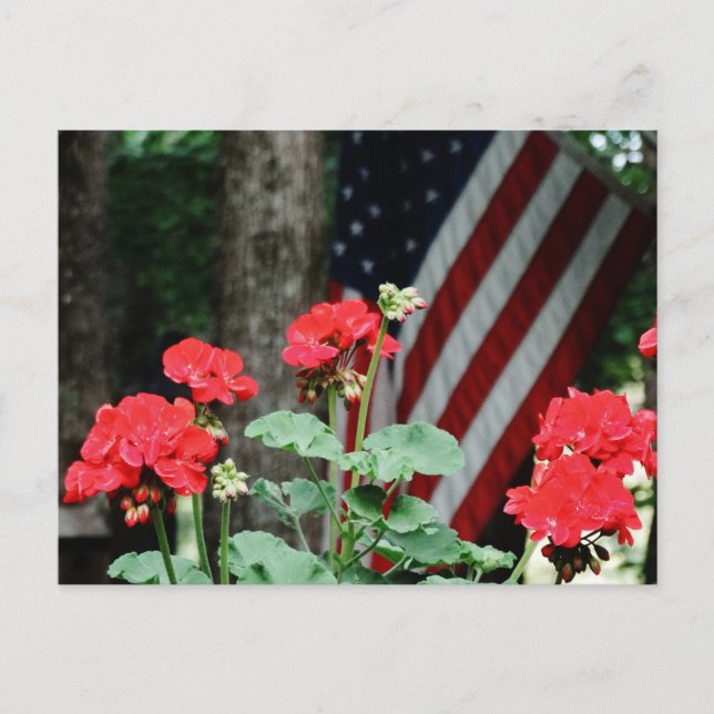 Carte Postale Fleur et drapeau Rouge blanc et bleu (Devant)