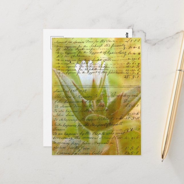 Carte Postale Fleur et script Vintage (Devant/Arrière en situation)