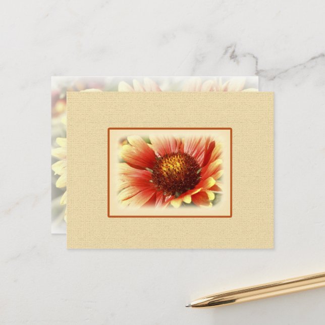 Carte Postale Fleur Gaillardia Jaune Orange Jaune Dentelée (Devant/Arrière en situation)