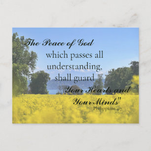 Carte Postale Fleur jaune inspirante Sympathie Prairie Colline L