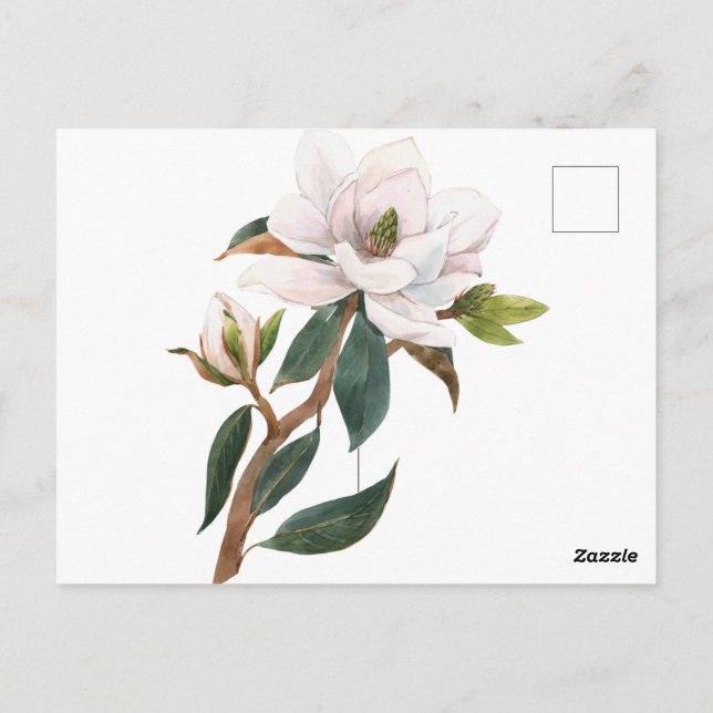 Carte Postale fleur magnolia aquarelle (Dos)