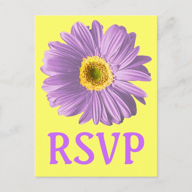 Carte Postale Fleur marguerite pourpre RSVP Ou Personnalisé (Devant)
