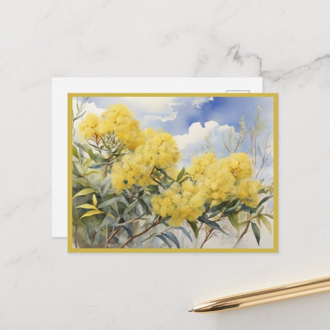 Carte Postale Fleur nationale Australie Golden Wattle | (Devant/Arrière en situation)