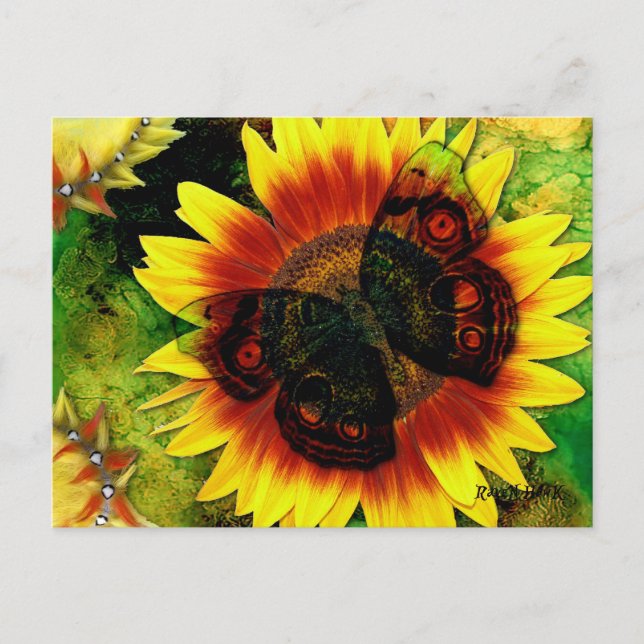 Carte Postale Fleur papillon (Devant)