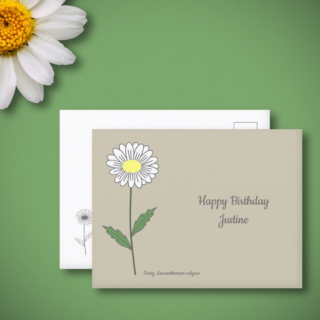 Carte Postale Fleur pastel de marguerite botanique (Botanical Daisy Flower Postcard)