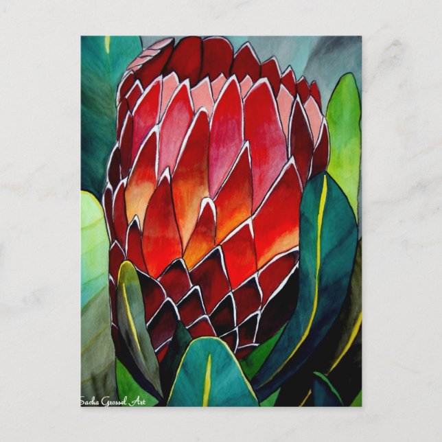 Carte Postale Fleur Protea rouge aquarelle originale (Devant)