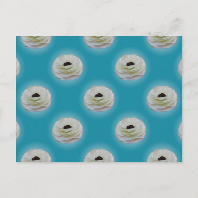 Carte postale Fleur Ranunculus Blanc (Devant)