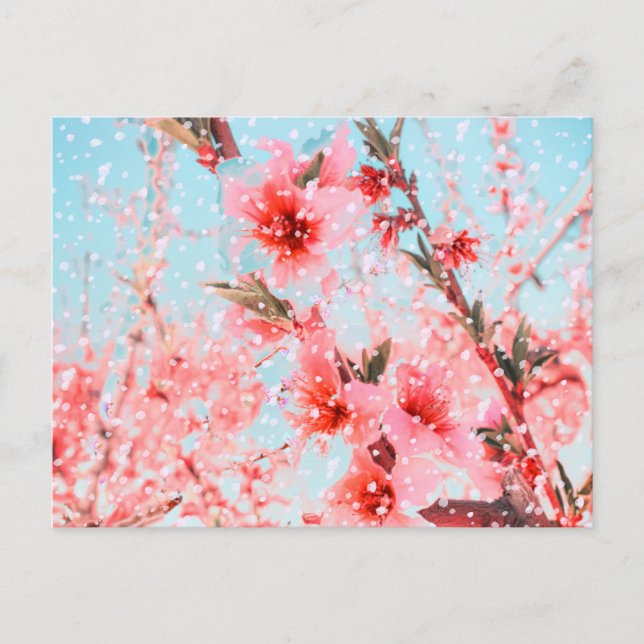 Carte Postale Fleur rose et pétales volants (ou neige?) (Devant)
