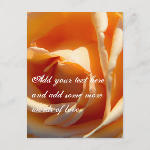 Carte Postale Fleur rose jaune