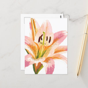Carte Postale Fleur rose Lily   Aquarelle peinture florale
