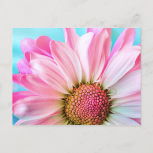 Carte Postale Fleur rose pâle
