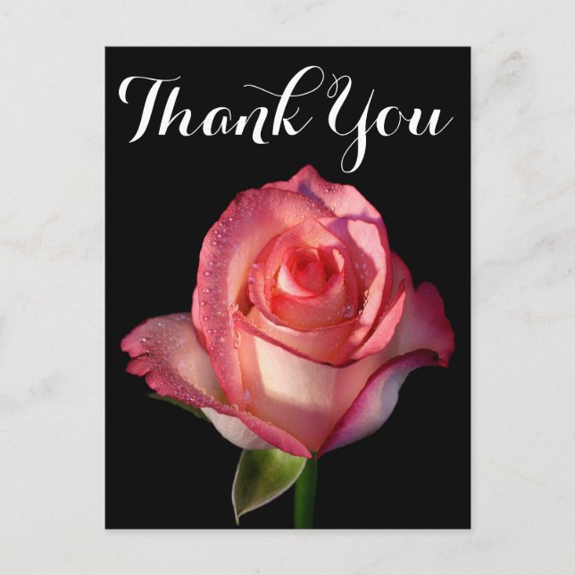 Carte Postale Fleur rose rose Merci Floral noir (Devant)