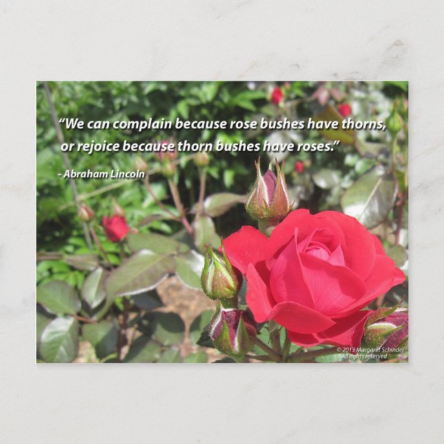 Carte postale Fleur Rose Rouge avec devis de Grati (Devant)