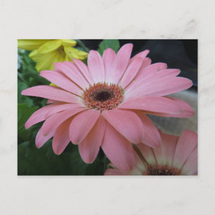 Carte Postale Fleur rose unique