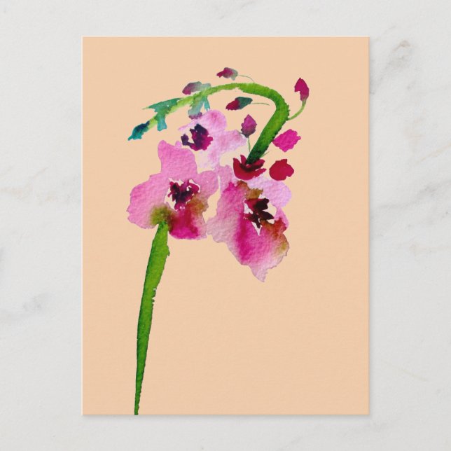 Carte Postale Fleur rose Verbascum art floral (Devant)