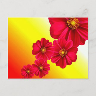 Carte postale Fleur rouge