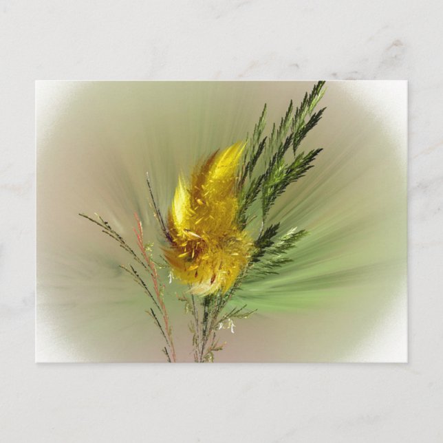 Carte postale Fleur sauvage (Devant)