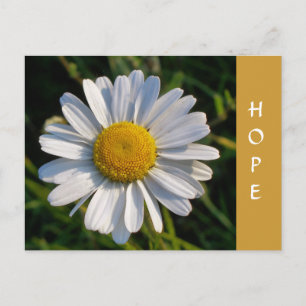 CARTE POSTALE FLEUR SAUVAGE