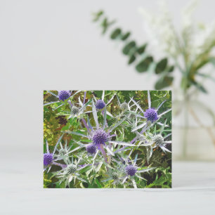 CARTE POSTALE FLEUR SAUVAGE